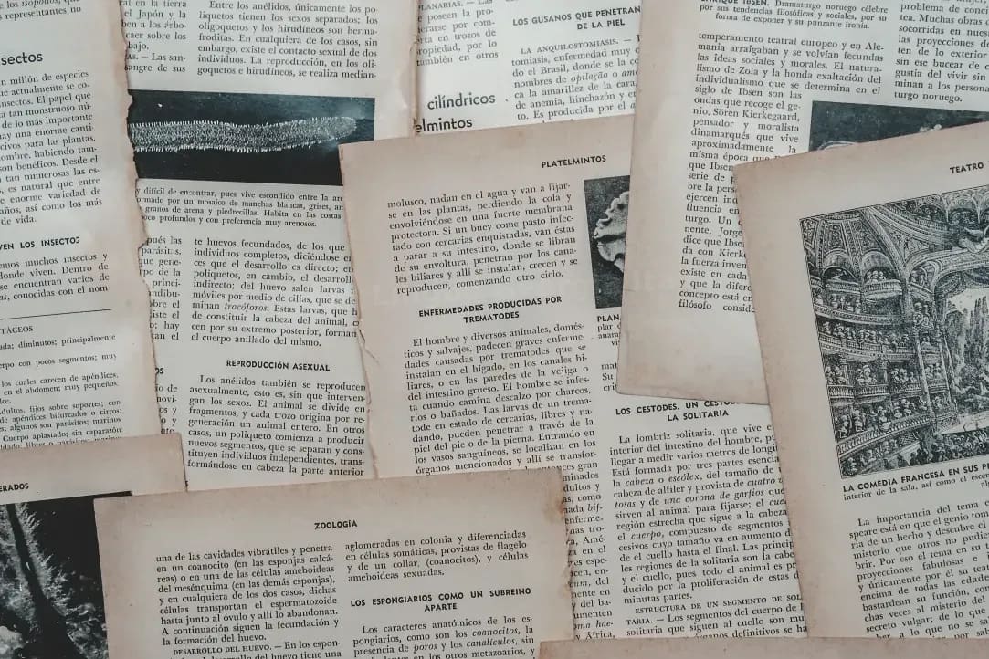 5 errori comuni nello studio del georgiano e come evitarli