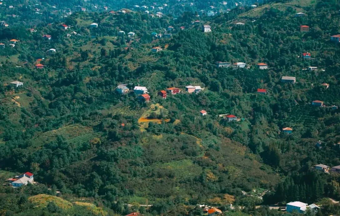 Lingua Georgia Italia 11
